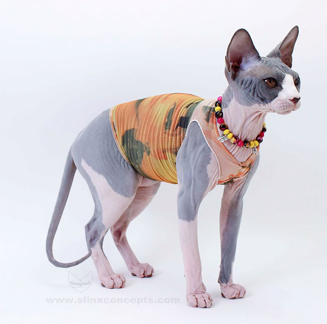 Tattoo Sleeves For Cat