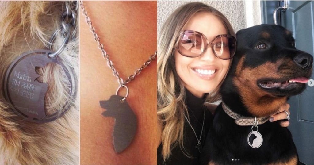 These pet plates are divided in two so you have a collar with the silhouette of your dog