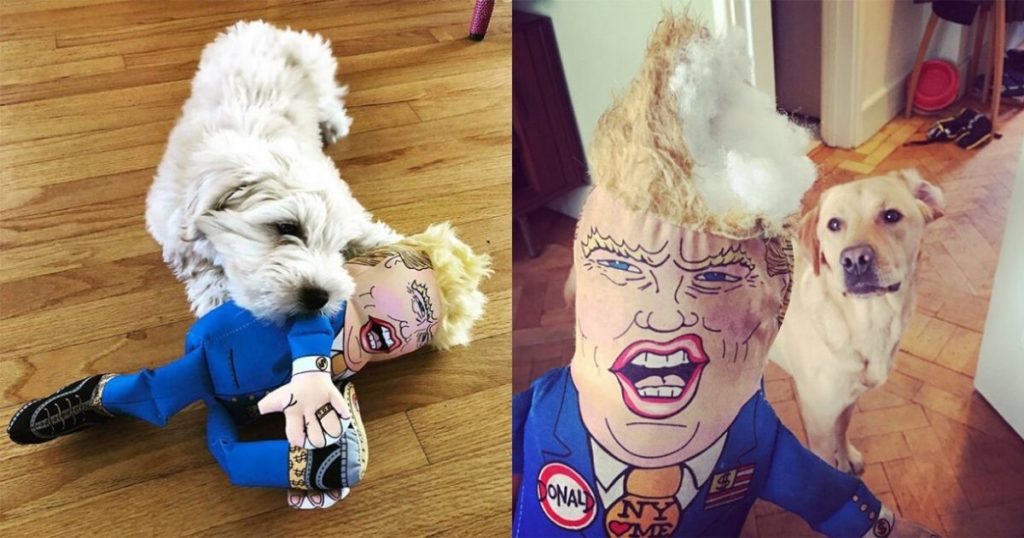 Make Your Pet’s Chew Toy Great Again Trump Dog Chew Toy Is Getting Popular