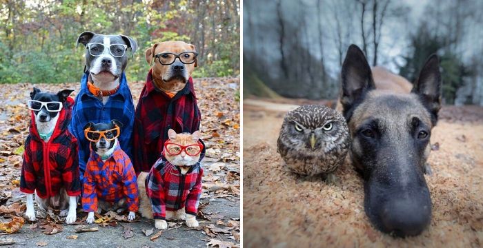 30 Animals That Look Like They’re About To Drop The Hottest Albums Of The Year