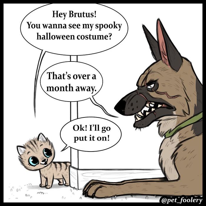 pixie and brutus