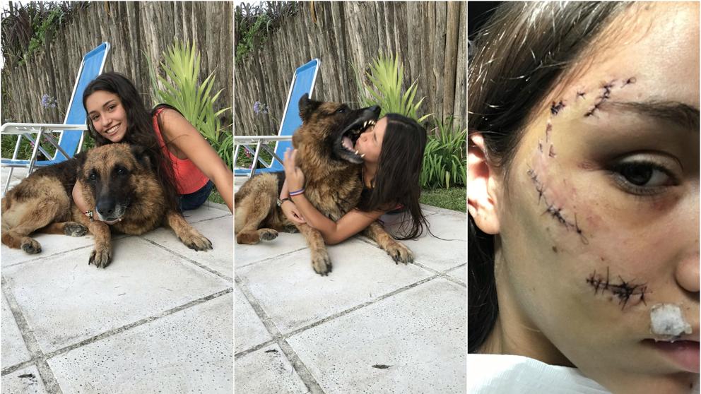 A photo shoot with a German shepherd goes viral because of the way it ended