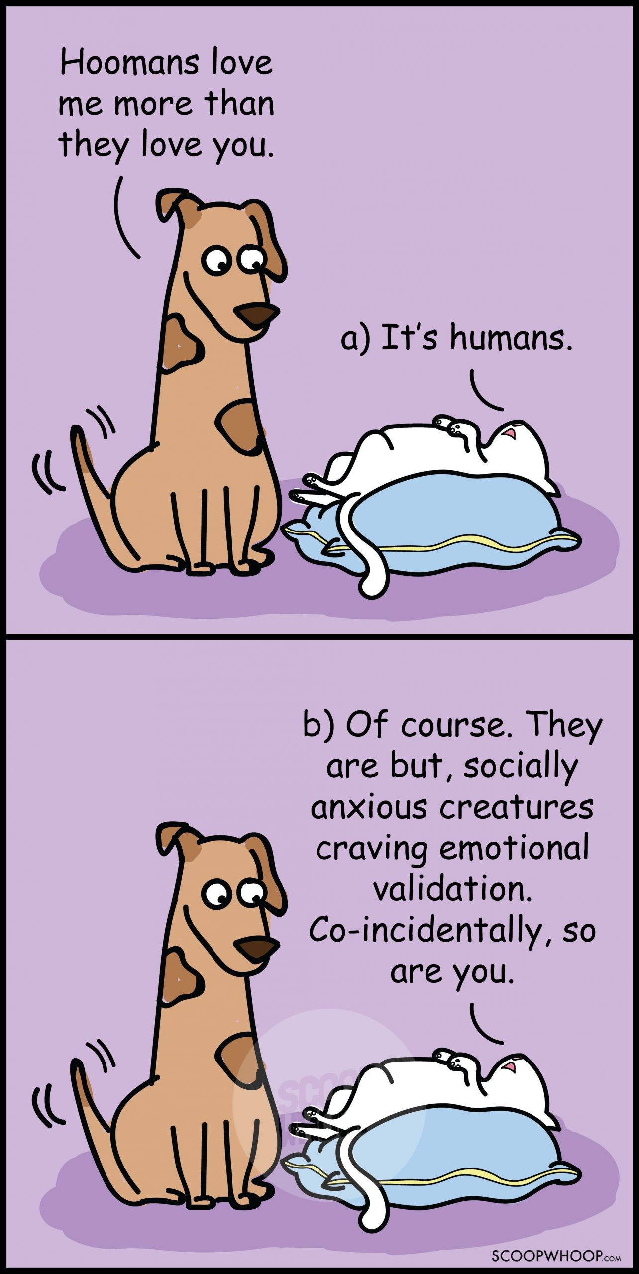 11 Comics Perfectly Illustrate What Happens Between Your Pet Cat & Dog