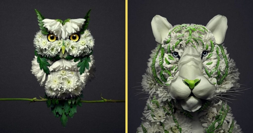 30 Delicate Animal Portraits Created From Things Found In Nature By Raku Inoue