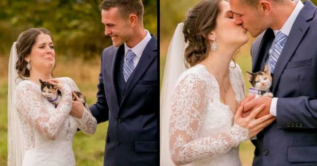 Groom Surprises His Bride With The “Purrfect” Gift At Their First Look Wedding Photo Shoot!