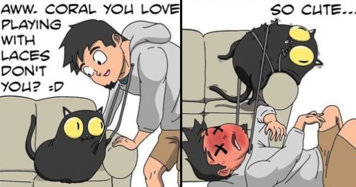 30 Funny And Relatable Comics Showing What It’s Like To Live With A Cat