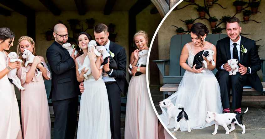 This couple substitutes the bouquet for a dozen rescued puppies; the photos are pure love