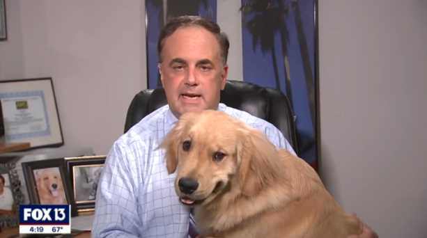 Dog Interrupts Live Weather Forecast, Sits On News Anchorâs Lap During Session
