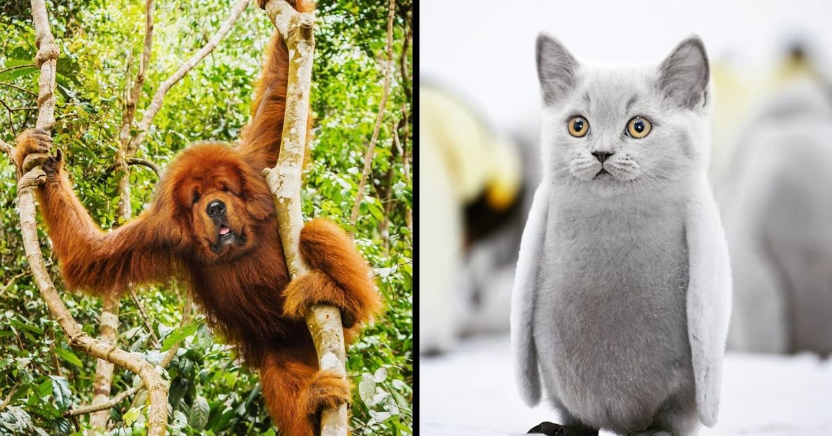 Artist Creates The Stupidest Animal Hybrids He Can Think Of (26 New Pics)