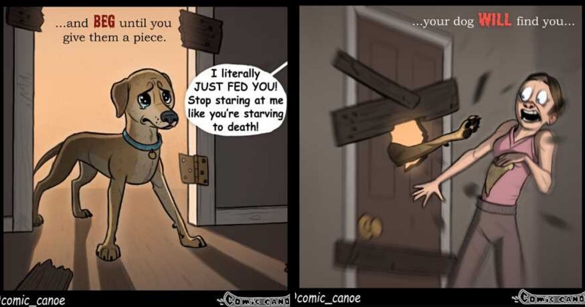 Top 5 Funny Comics About Animals By Pet Foolery That Will Made Your Day