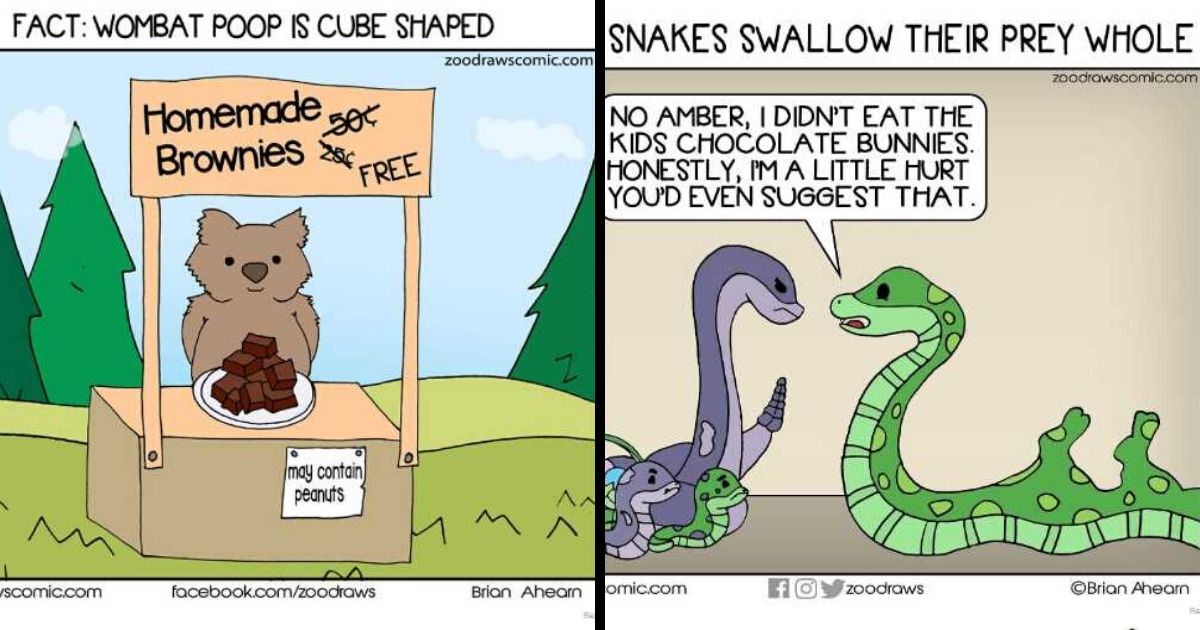 Here Are My 24 Comics About Animals Living In The Modern World To Help You Through The Quarantine