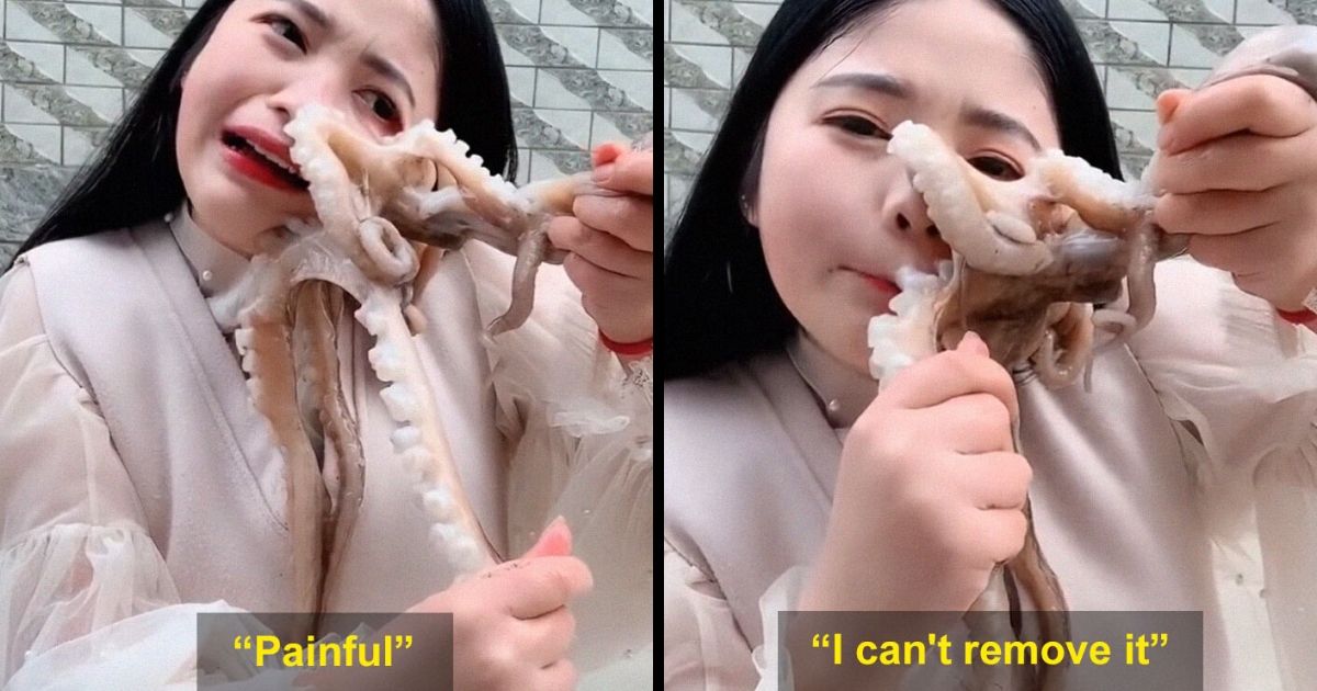 This octopus atta-cked a woman who tried to eat him alive