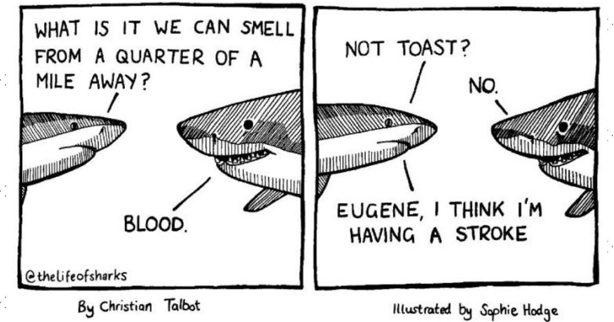 Here Are Our 30 Best Comics That Depict The Snarky Conversations Between Sharks And Other Aquatic Life