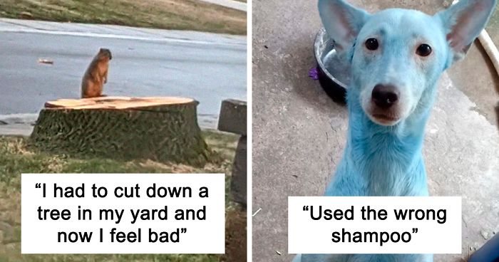 30 Photos of animals that have a worse day than yours