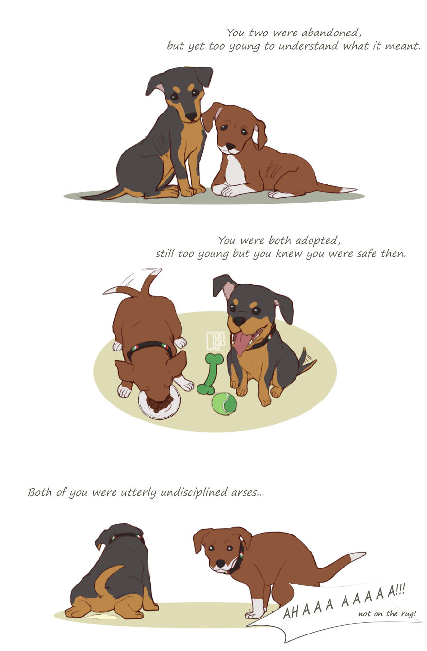 Artist S Tribute To Their Puppies Crossing Rainbow Bridge Will Make You Cry Kitten Vs Puppy